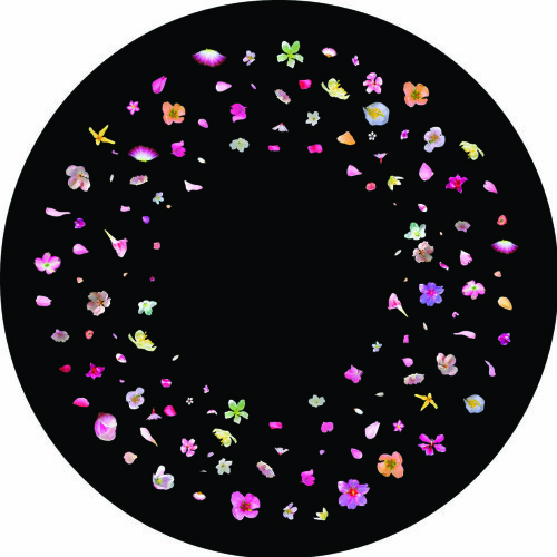 Blossom 