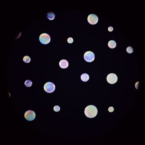 Bubble 