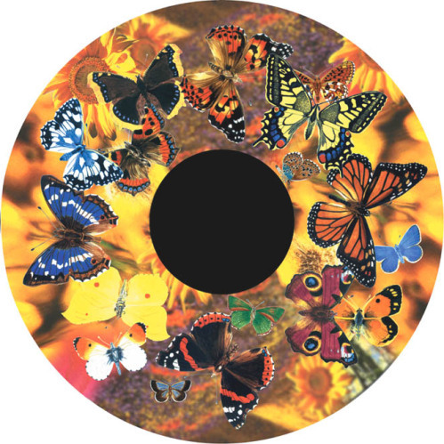 Butterflies