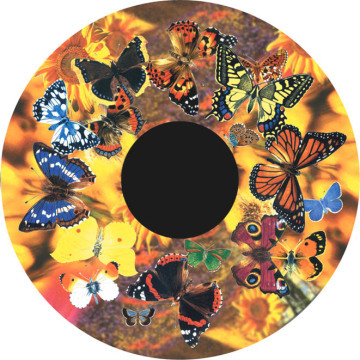 Butterflies