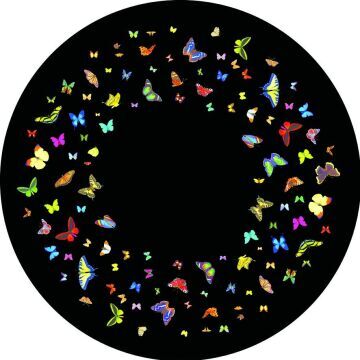 Papillon