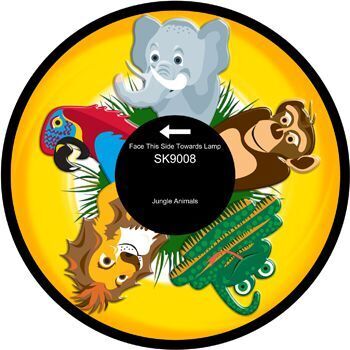 Jungle Animals