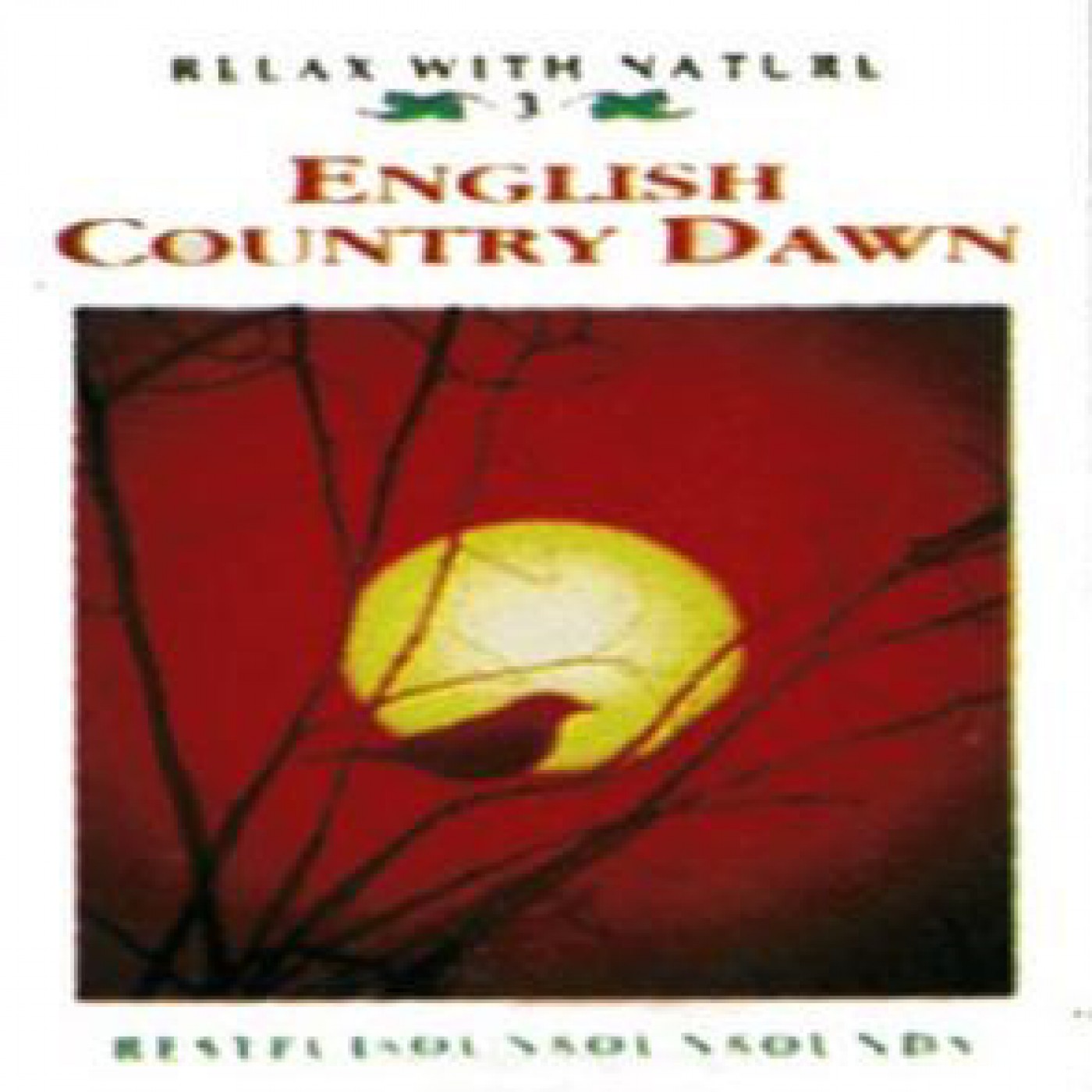 English Country Dawn - Wilkins International