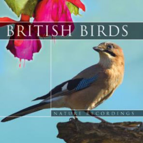 British Birds