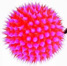 Spine Balls - Set of 4