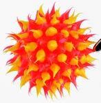 Spine Balls - Set of 4