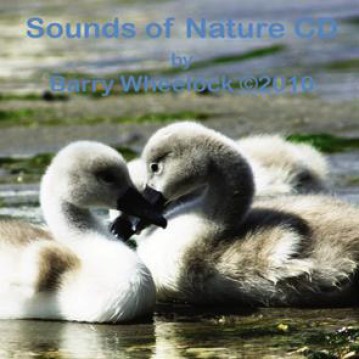 Sounds of Nature