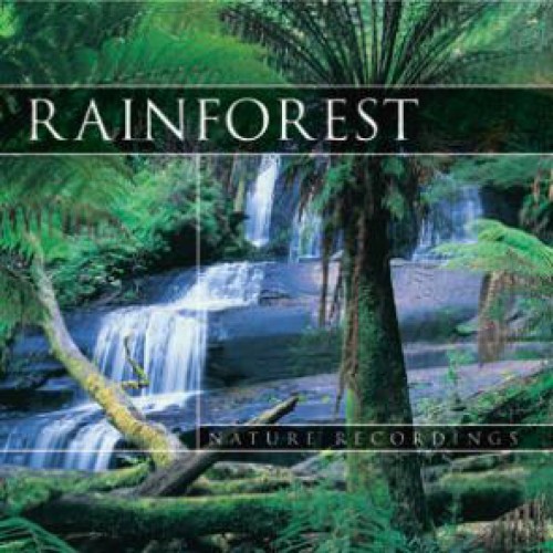 Rainforest