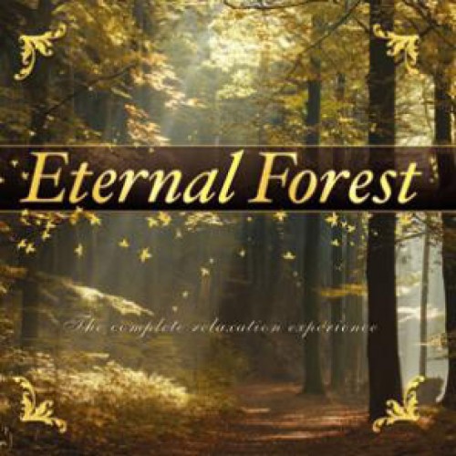 Eternal Forest