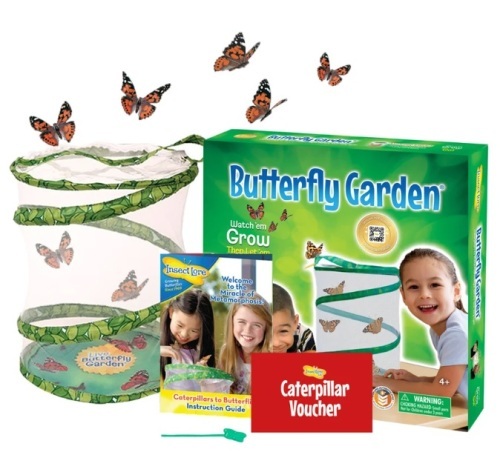 Butterfly Garden