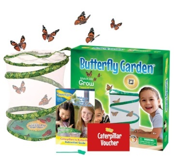 Butterfly Garden