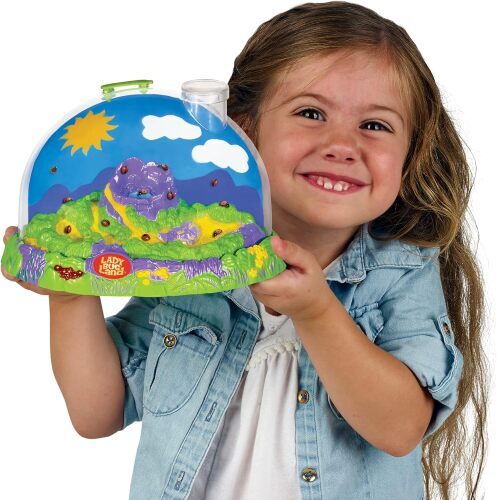 Ladybird Habitat Kit