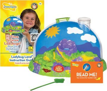 Ladybird Habitat Kit