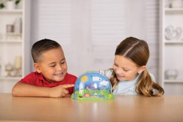 Ladybird Habitat Kit
