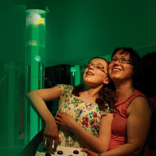 Interactive Bubble Tube & 8 Way Wireless Switch