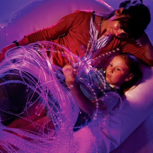 Fibre Optic Softy and Lightsource