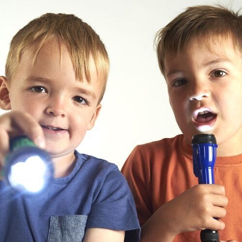 LED Torches - Set of 12