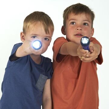 LED Torches - Set of 12