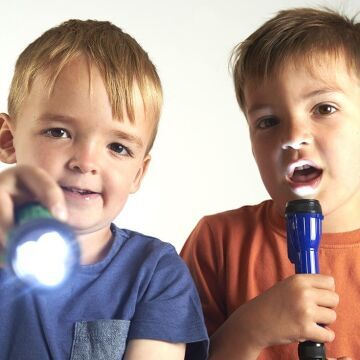 LED Torches - Set of 12