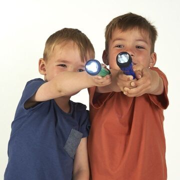 LED Torches - Set of 12