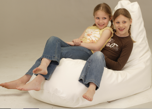 Bean Bag Lounger